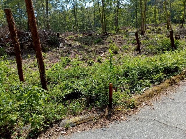下伊那郡高森町山吹土地 土地
