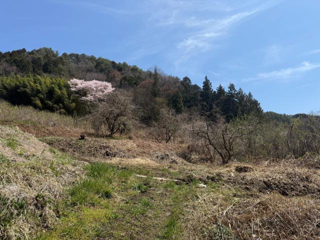 土地1