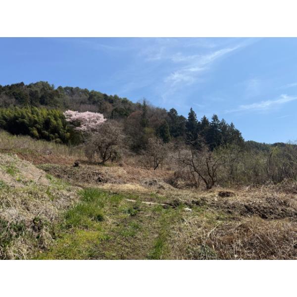 長野県飯田市竹佐