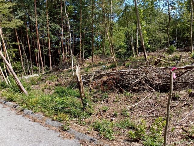下伊那郡高森町山吹土地 土地画像
