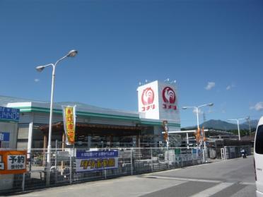 コメリハード＆グリーン飯田桐林店