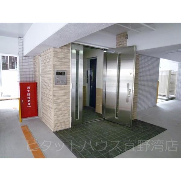 Ｆｏｒｅｓｔ　Ｋ（2-A） その他