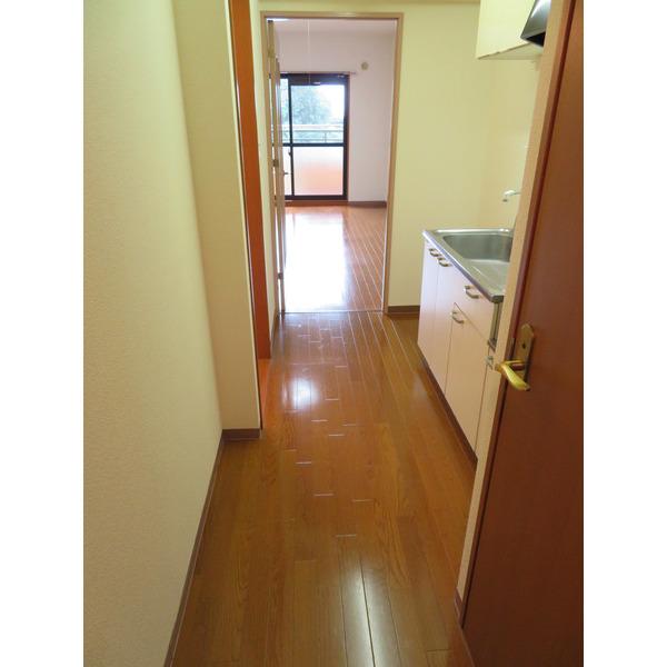 ラグナガーデン亀川（302） その他部屋・スペース