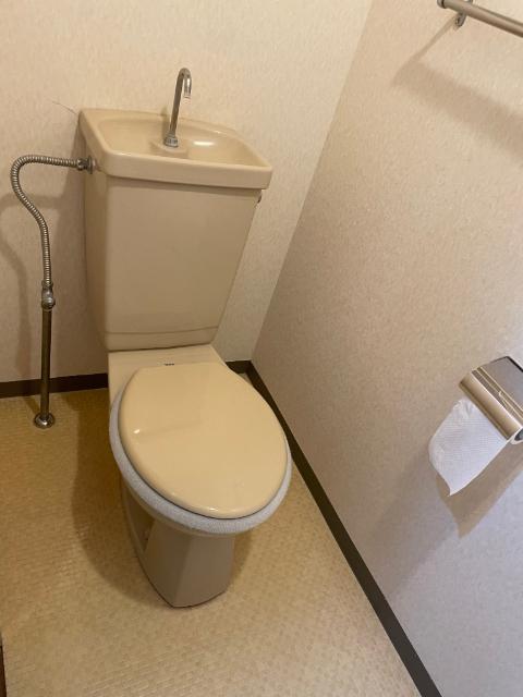 グレイス城崎（303） トイレ