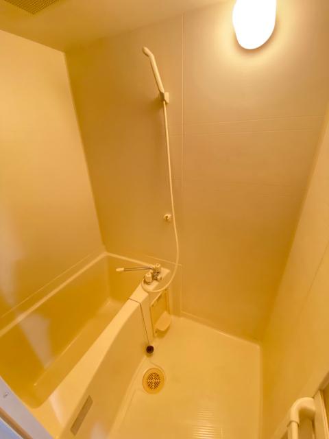 リバティおひつじ座（205） 部屋画像