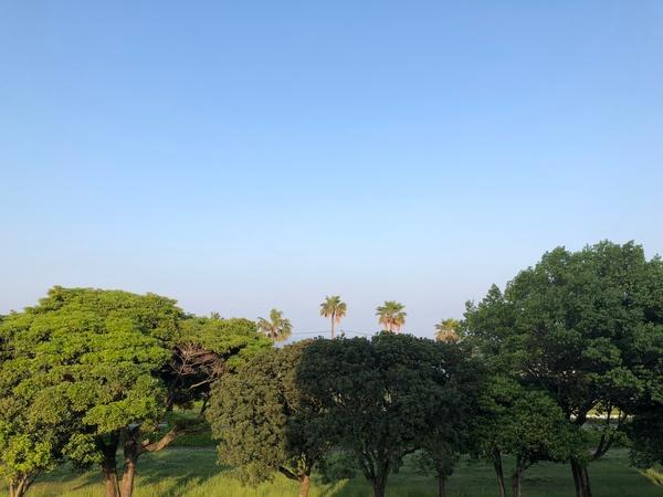 ラプラージュ 眺望