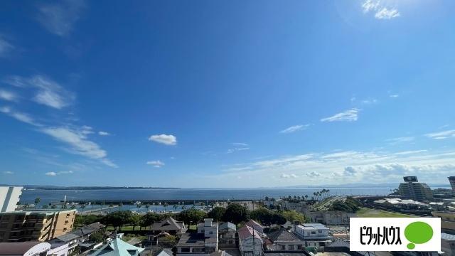 アルウィンコート亀川（810） 眺望