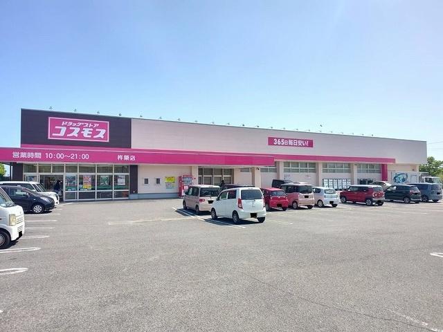 コスモス：350m