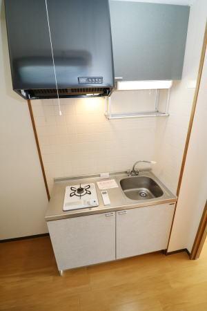 アクシスⅠ（202） キッチン