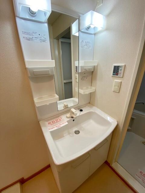 サンリットＢ（203） 洗面