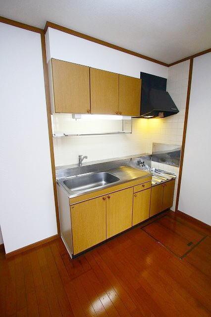 セレーネ３１０　Ａ（103） キッチン
