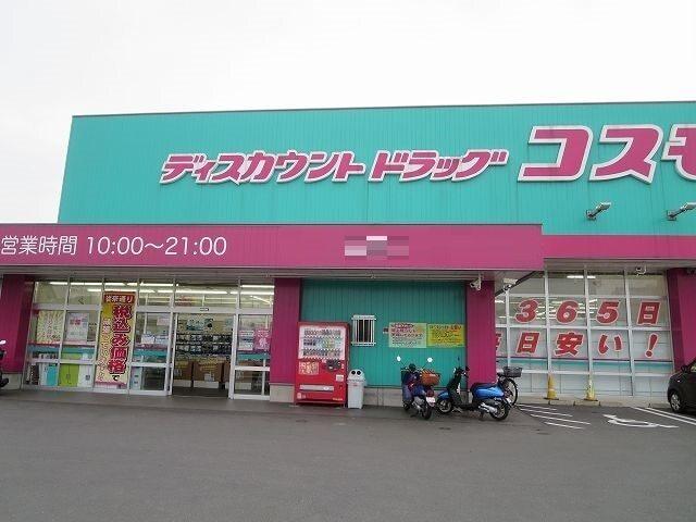 コスモス：1300m