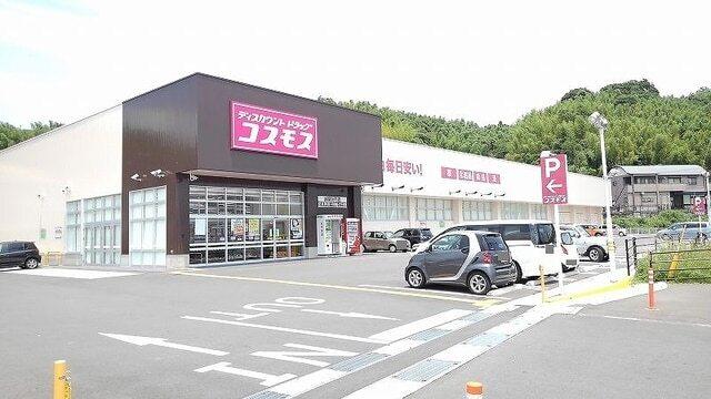 コスモス：1000m