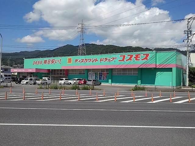 コスモス：1600m