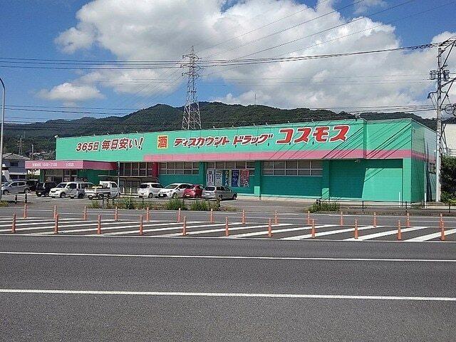 ドラッグコスモス：1000m
