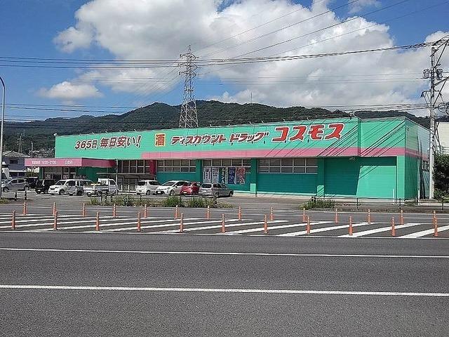 コスモス：1000m