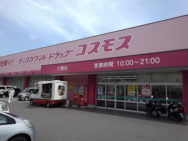 コスモス：750m