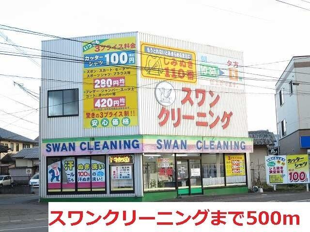 スワンクリーニング：500m