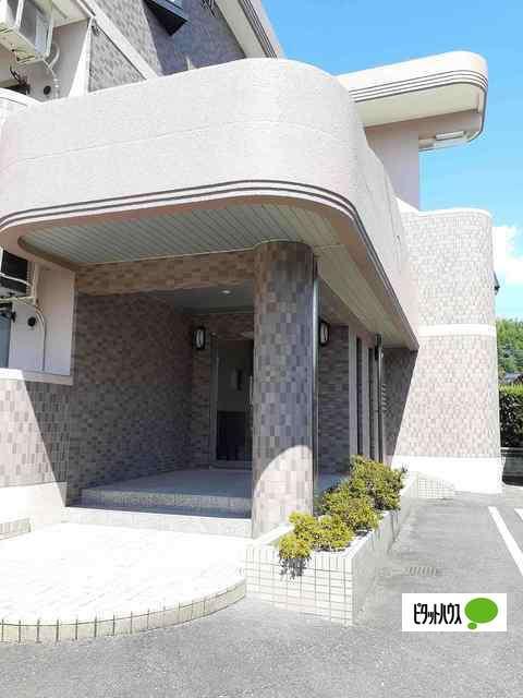 ＭＡＩＳＯＮ　ＪＥＵＮＥＳＳＥ（305） 物件画像