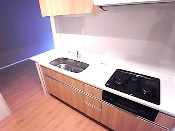 エーデルホーフ住吉本町（102） キッチン