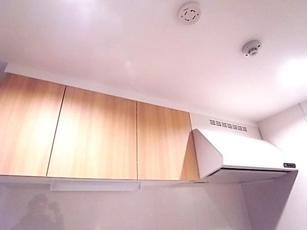エーデルホーフ住吉本町（102） 設備
