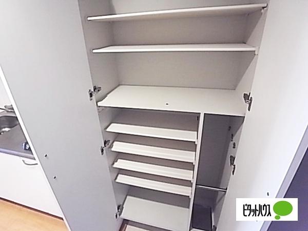 アルファレガロ甲南山手（705） 収納