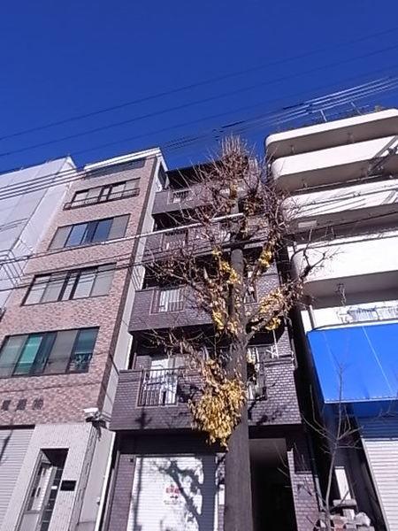 永光ビルディング割塚（402） 外観