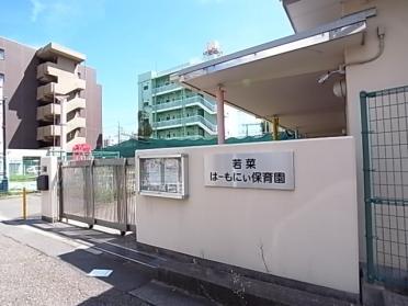 若菜はーもにぃ保育園：175m