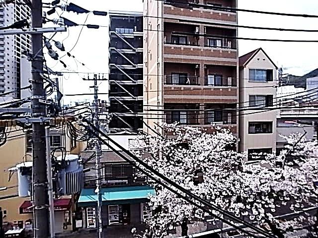 神戸市灘区城内通マンション 眺望