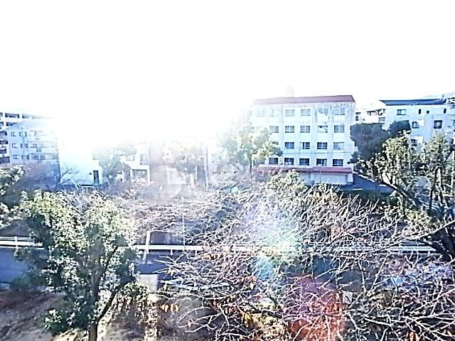 神戸市灘区灘北通マンション 眺望