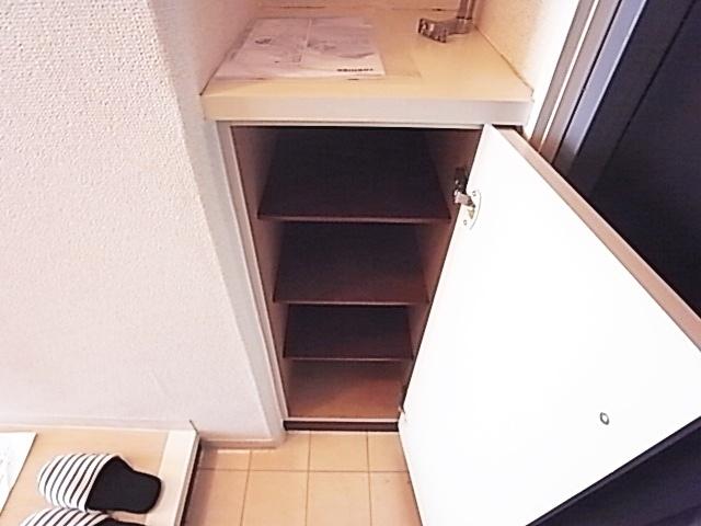 シャルムメゾン本庄（307） 収納
