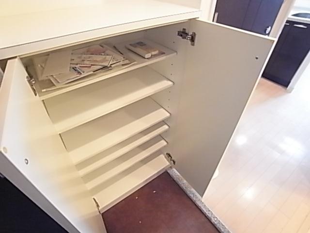 ライジングコート三宮マリーナシティ（502） 収納