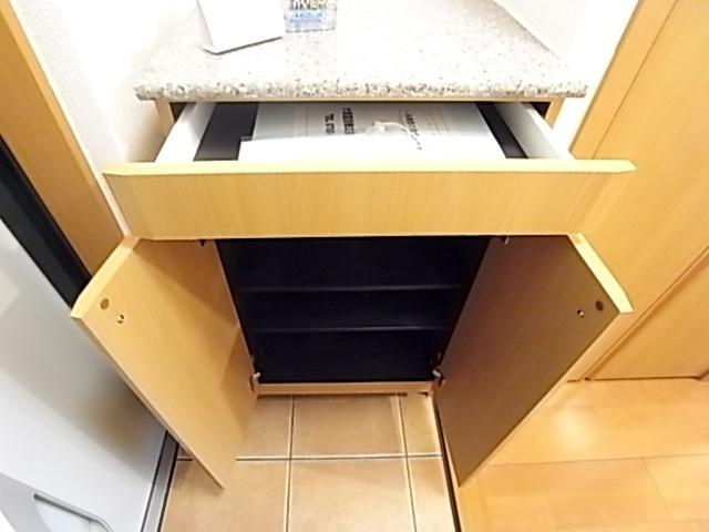 エッセンティア春日野（302） 収納