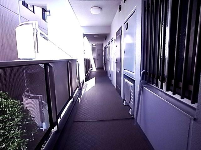 アバンセ六甲パートⅥ（303） 共有部分