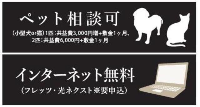 パークシュロス芦屋（507） その他