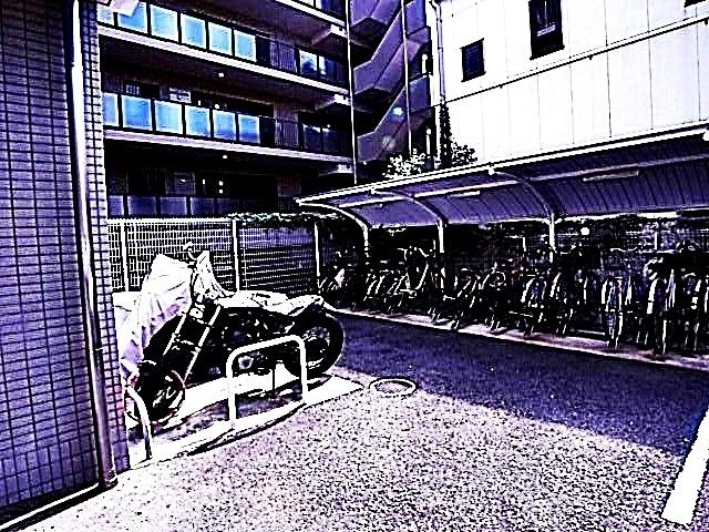 カノン甲南山手（302） 共有部分