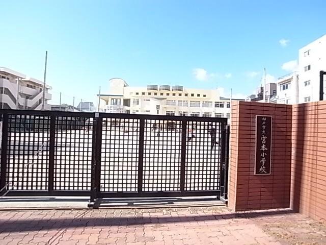 神戸市立宮本小学校：488m