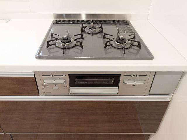 セレスティア京島（201） 部屋画像