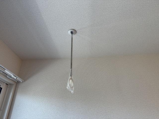 セレスティア細田A（203） 部屋画像