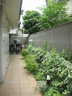 コローレ 物件画像