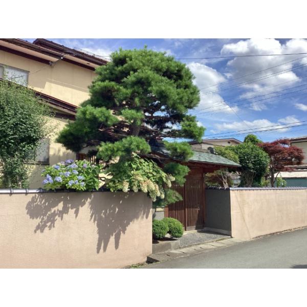山形県山形市篭田１丁目
