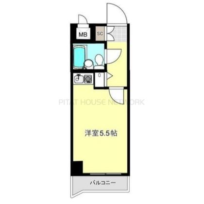 2025/03/11撮影