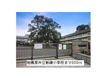 相模原市立新磯小学校：900m