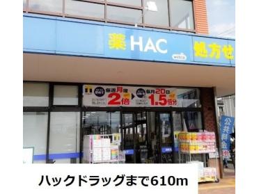 ハックドラッグ海老名上今泉店：610m