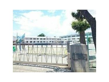 松林小学校：300m