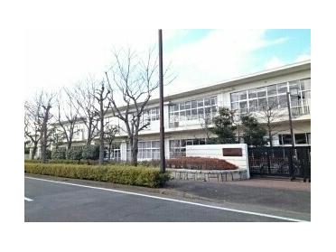 石川小学校：10m