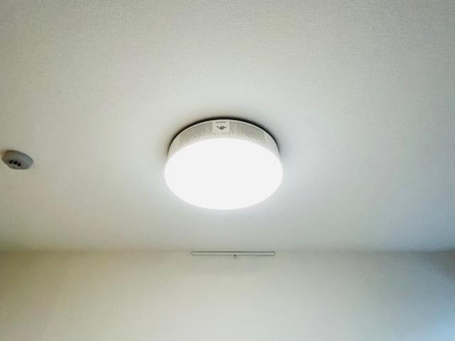 リベラマーロⅤ（302） 部屋画像