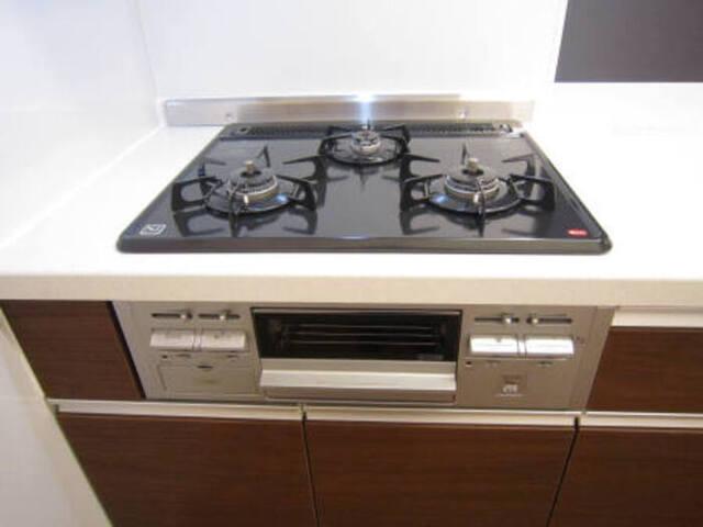 ウェルデンス東林間（305） 部屋画像