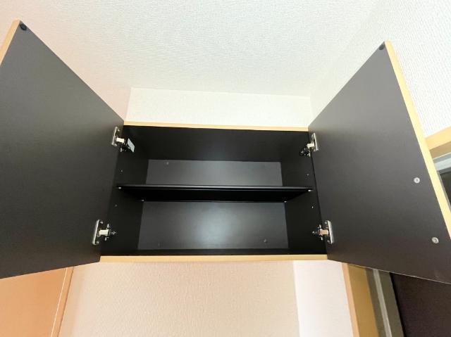 ビオラ 部屋画像
