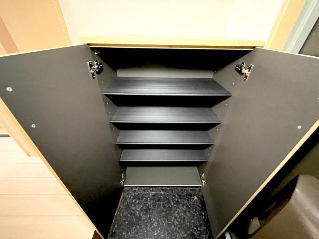 ビオラ 部屋画像